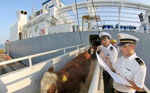 南美白對蝦進口報關(guān)清關(guān)全流程指導與國內(nèi)貿(mào)易代理服務方案